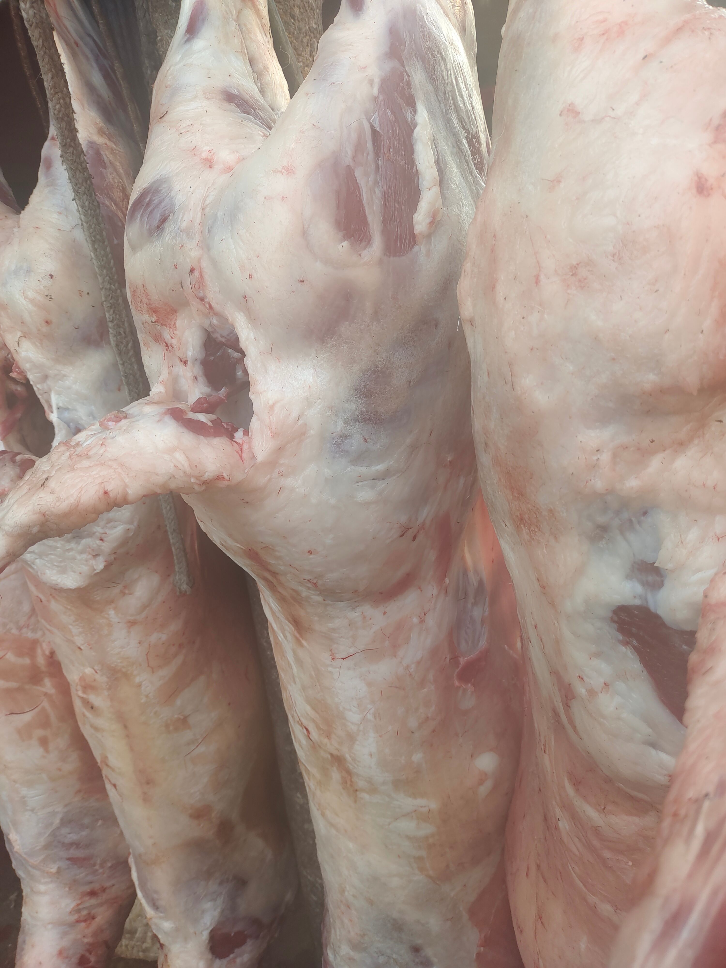 羊肉卷  鲜羊肉，羊副产品，手工羊肉串，无条理羊肉片