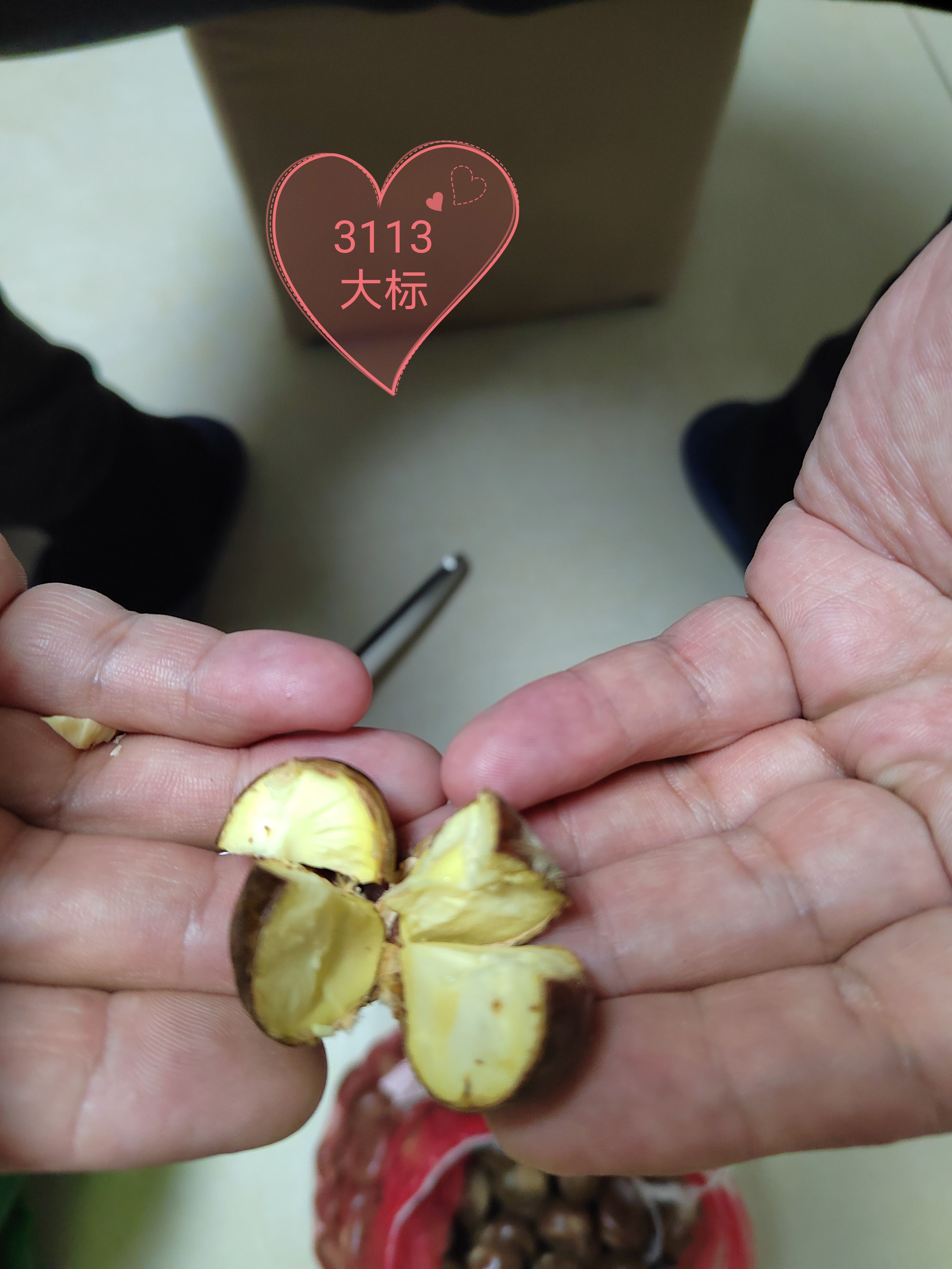 精选迁西313遵化油栗全国发货，产地直发，量大优惠纯山坡栗