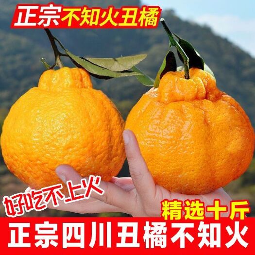 四川丑橘不知火丑八怪橘子水果10装斤耙耙柑皇帝柑桔子批发价沃