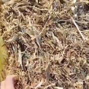 白城 揉丝玉米秸秆 小方包 牛羊马饲料 大量现货