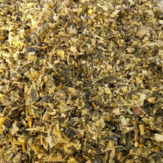 临泉县牛，羊青贮玉米秸秆饲料