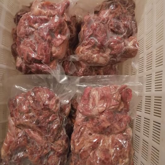 定州市羊肉类 羔羊产品