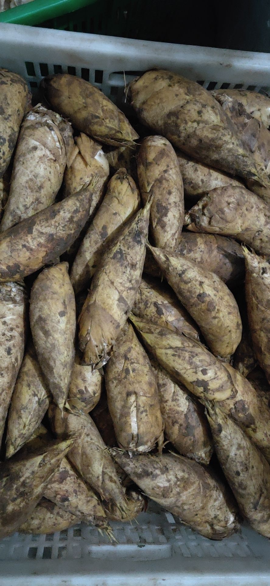  赤水.   赤辉冬笋