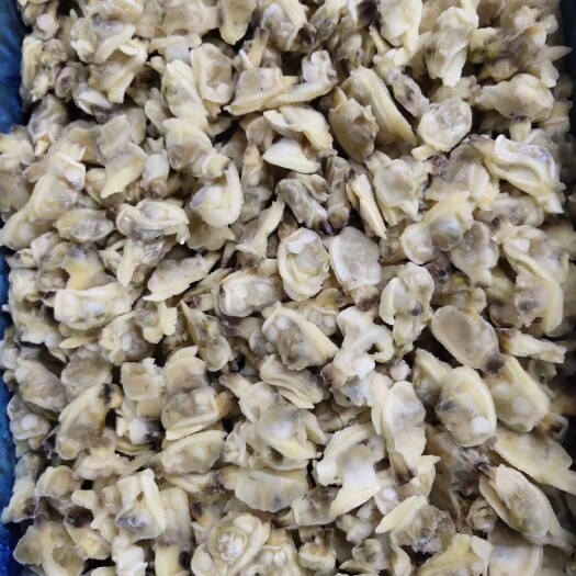 济南花甲 冻煮花蛤肉