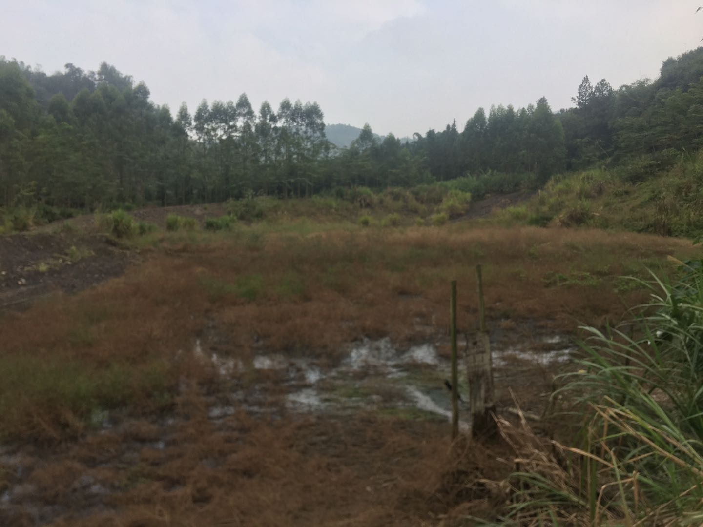 旱地 广东韶关曲江农用设施用地300亩，设备水电齐全