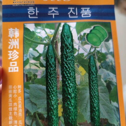 余干县韩洲珍品黄瓜种子 抗病耐热高产杂交亩产可达2万公斤