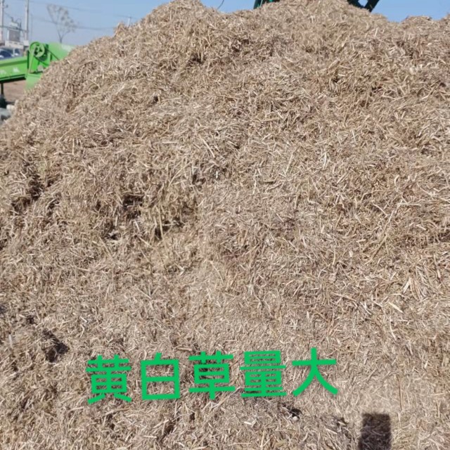 花生秧  大量供应黄百草带绿的50%。