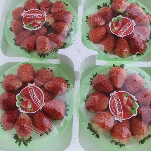 妙香草莓 大量宁玉，妙香上市！果型好，口感佳。价格美丽欢迎老板前来合作