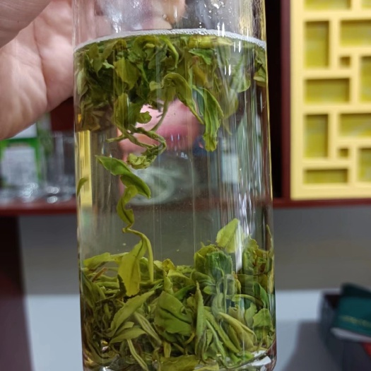 邹城市云雾茶  绿茶 高山绿茶