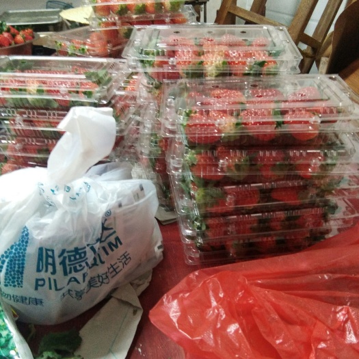 建德市红颜草莓  农家九九草莓香甜可口