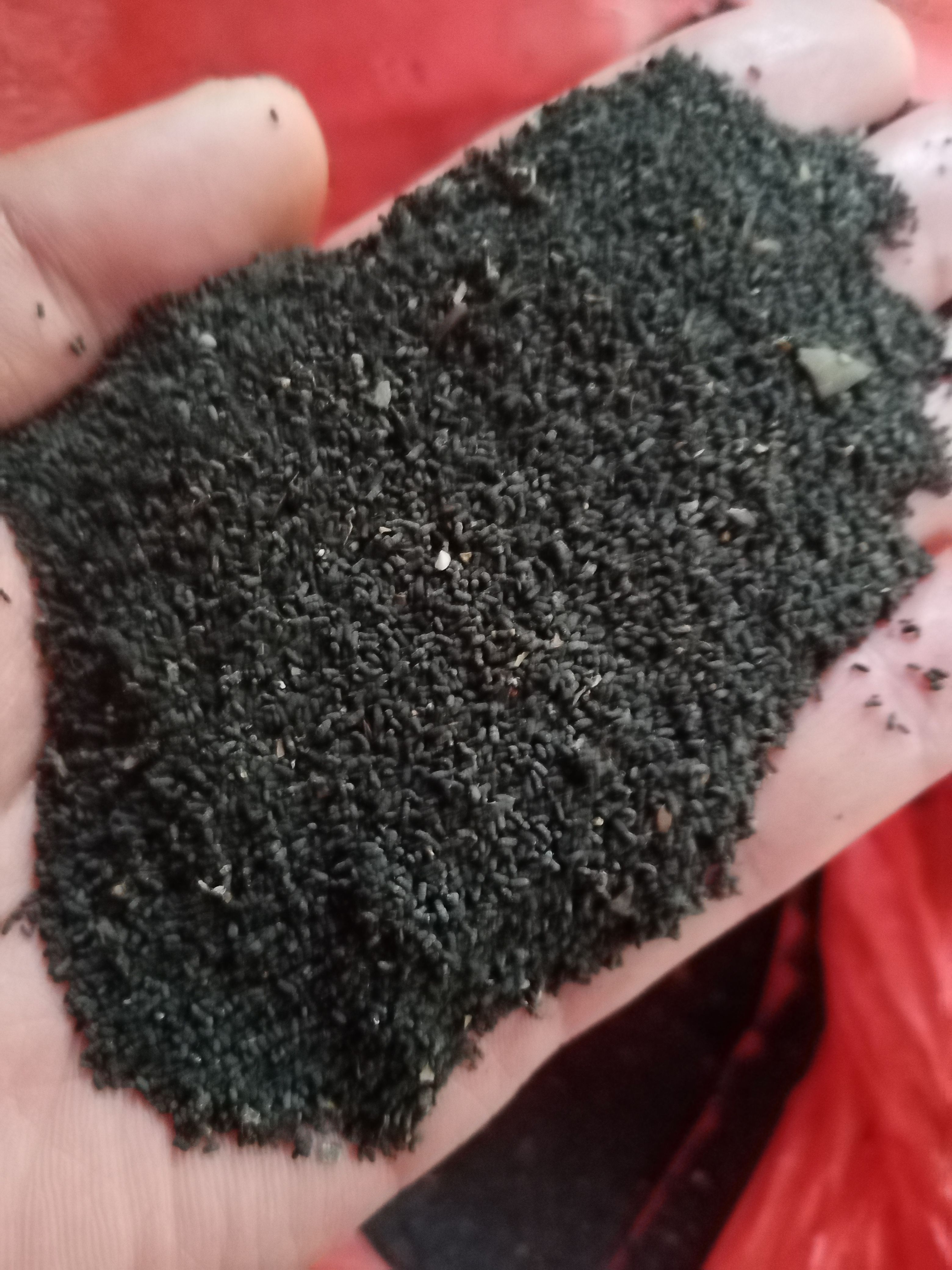 通道侗族自治县虫屎茶虫茶龙珠茶侗族虫茶钩藤虫茶通道虫茶