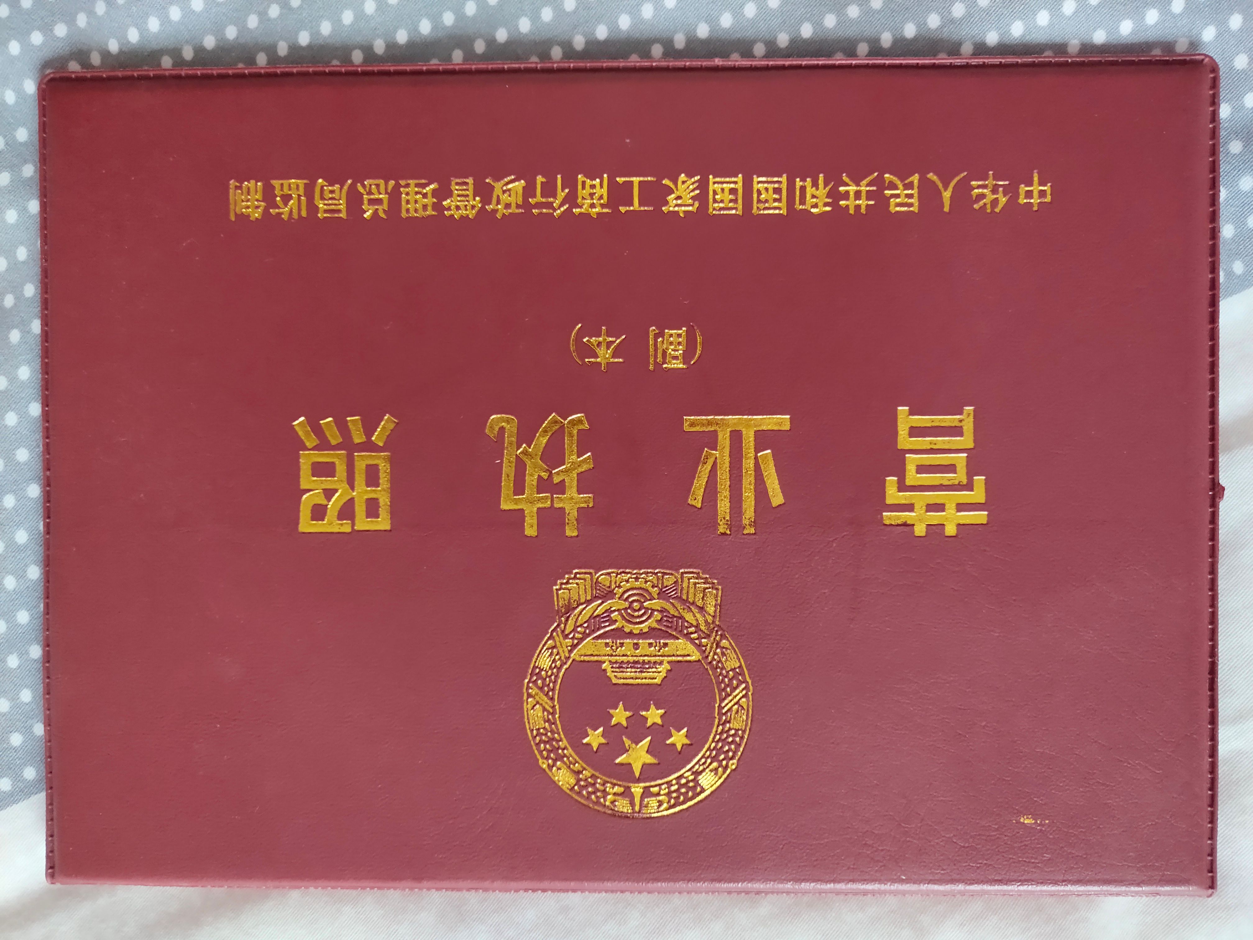 小龙虾  大炮头