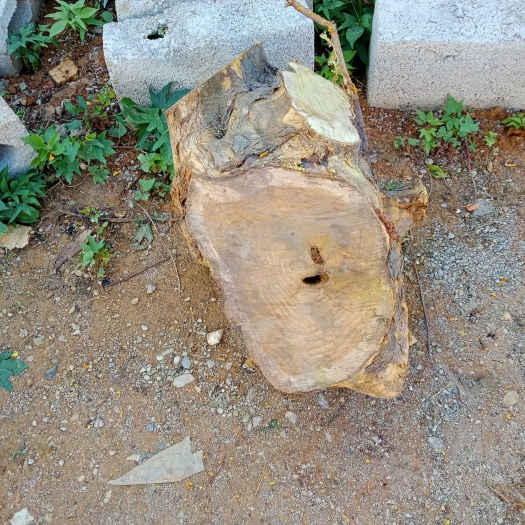 玉林 穿破石
