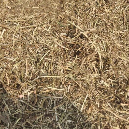 正阳县 一级优质的花生秧草料