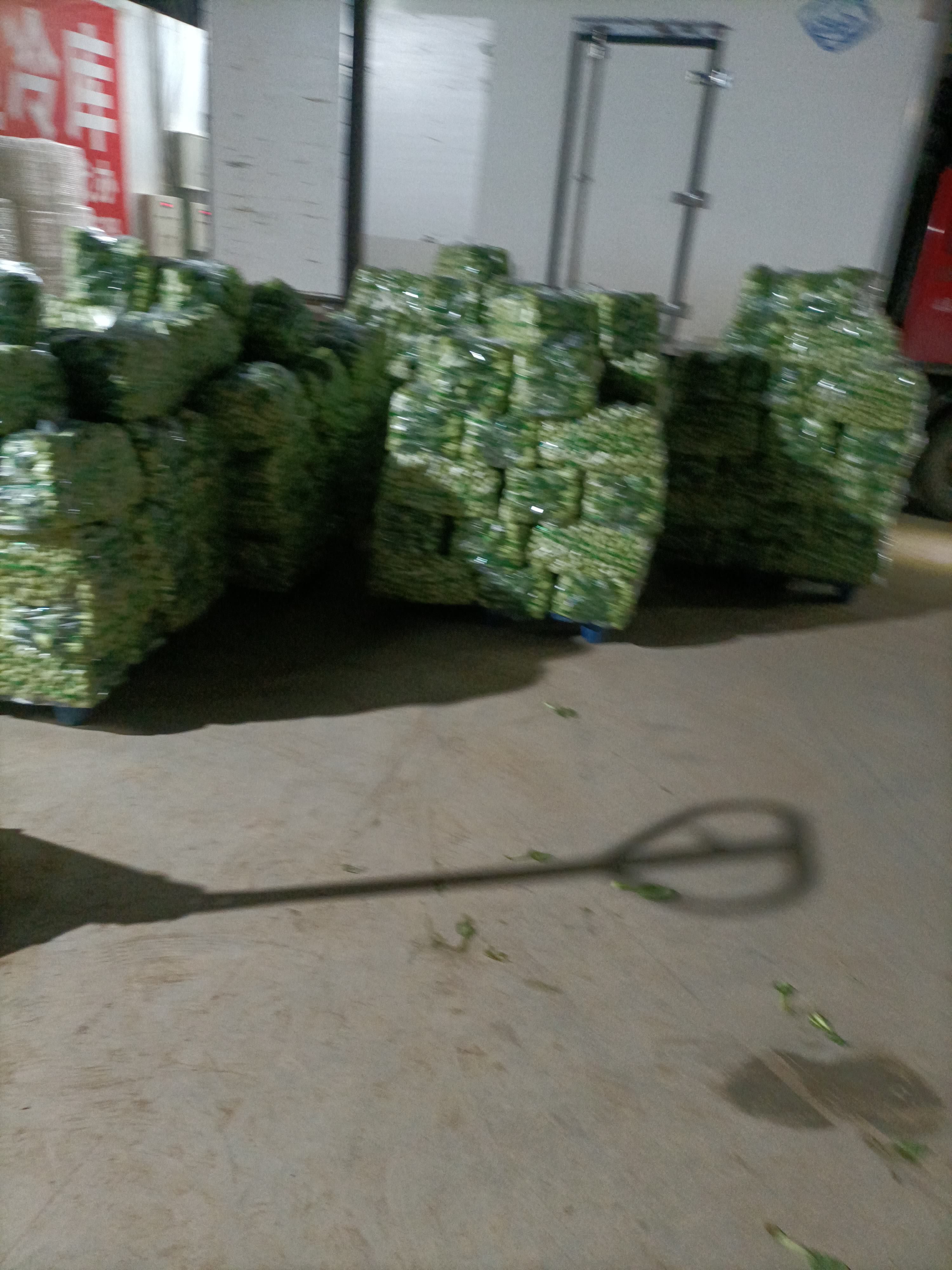 上海青，小白菜