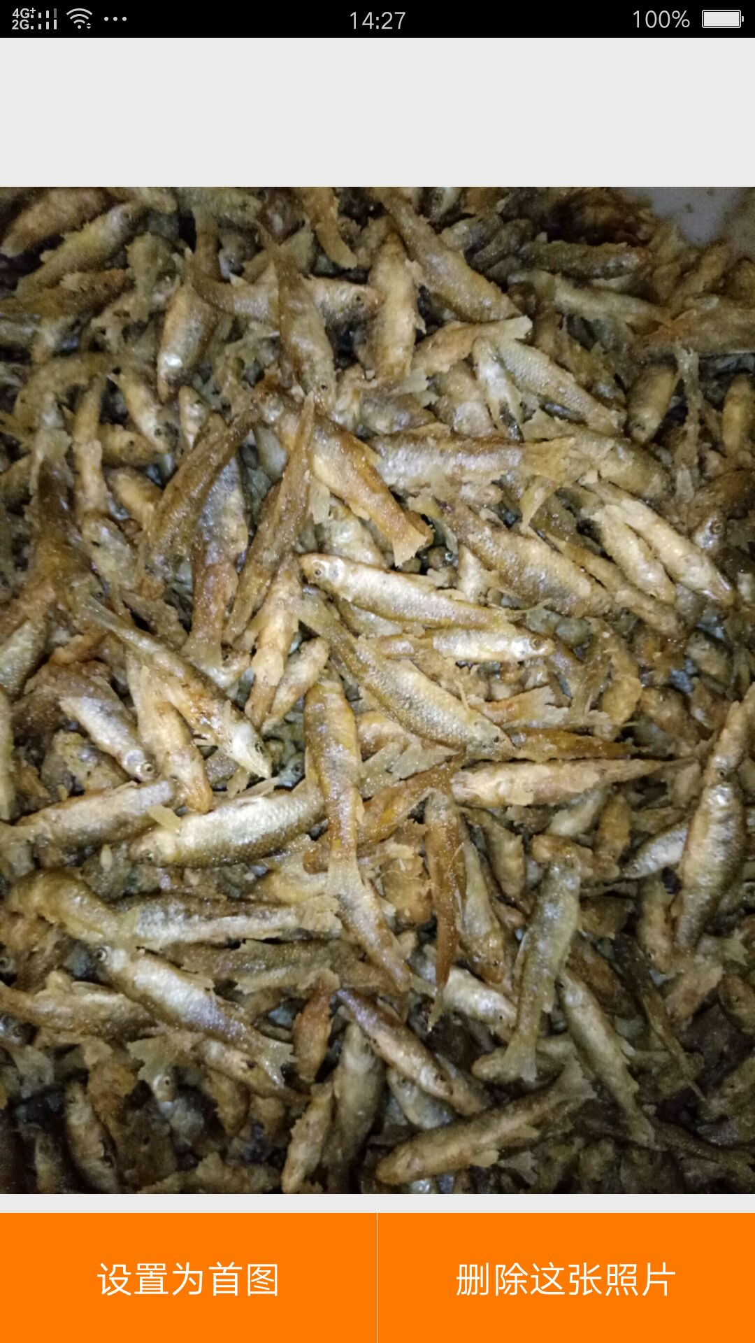 麦穗鱼水花  活体麦穗鱼，麦穗鱼干，油炸麦穗鱼，刁子鱼干，油炸刁子鱼。