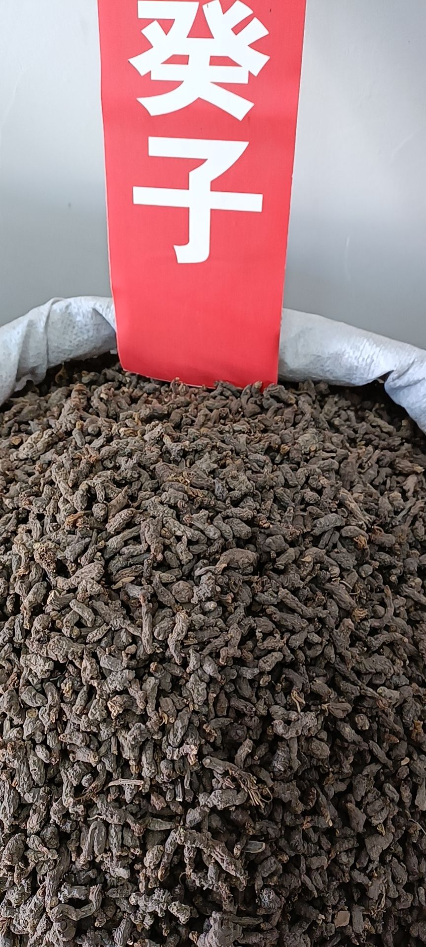 天葵子，千年老鼠屎，紫背天葵 ，10公斤以上包邮 。