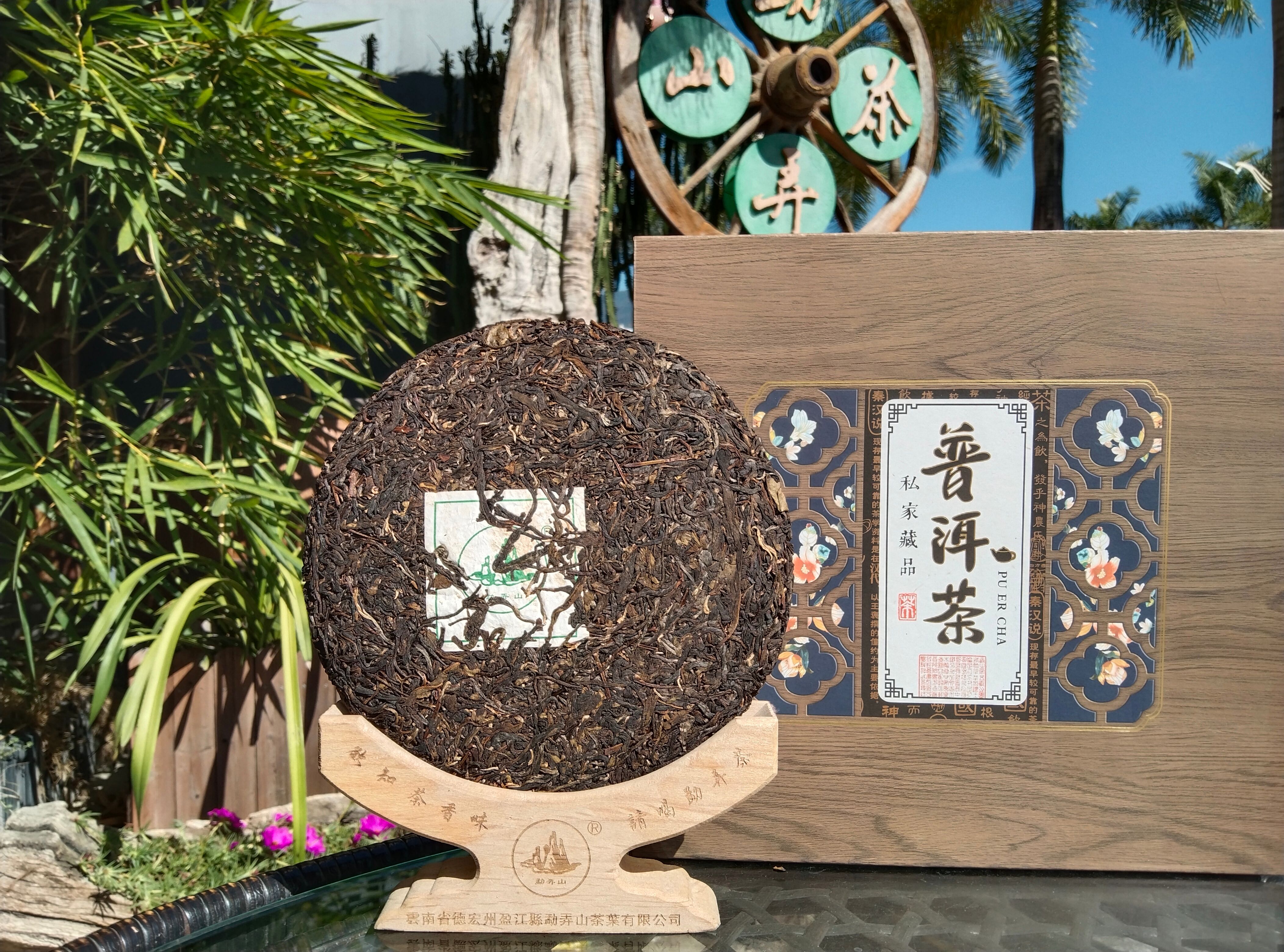 2015年云南勐弄山大叶种茶树普洱茶生茶压饼七子饼茶老茶头