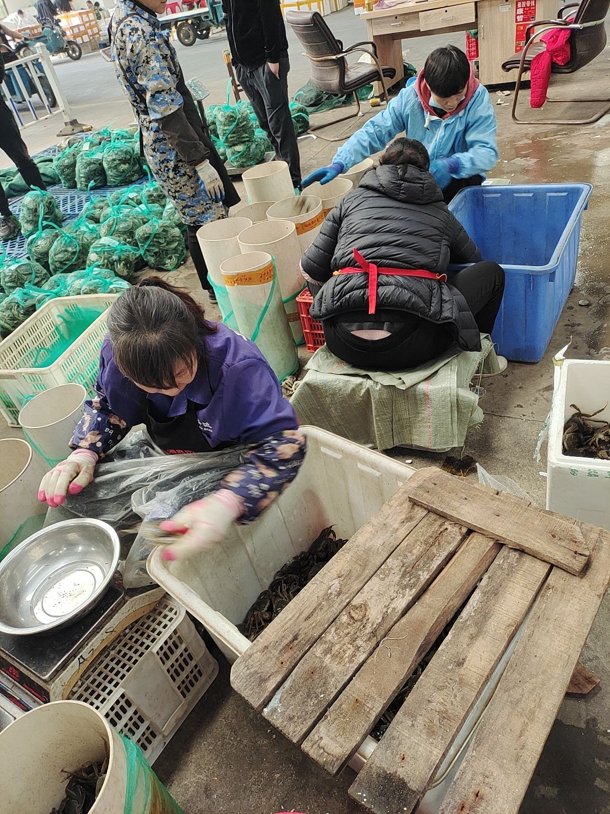 湖北汈汊清水大精品大闸蟹规格足质量好青壳白底一手货源