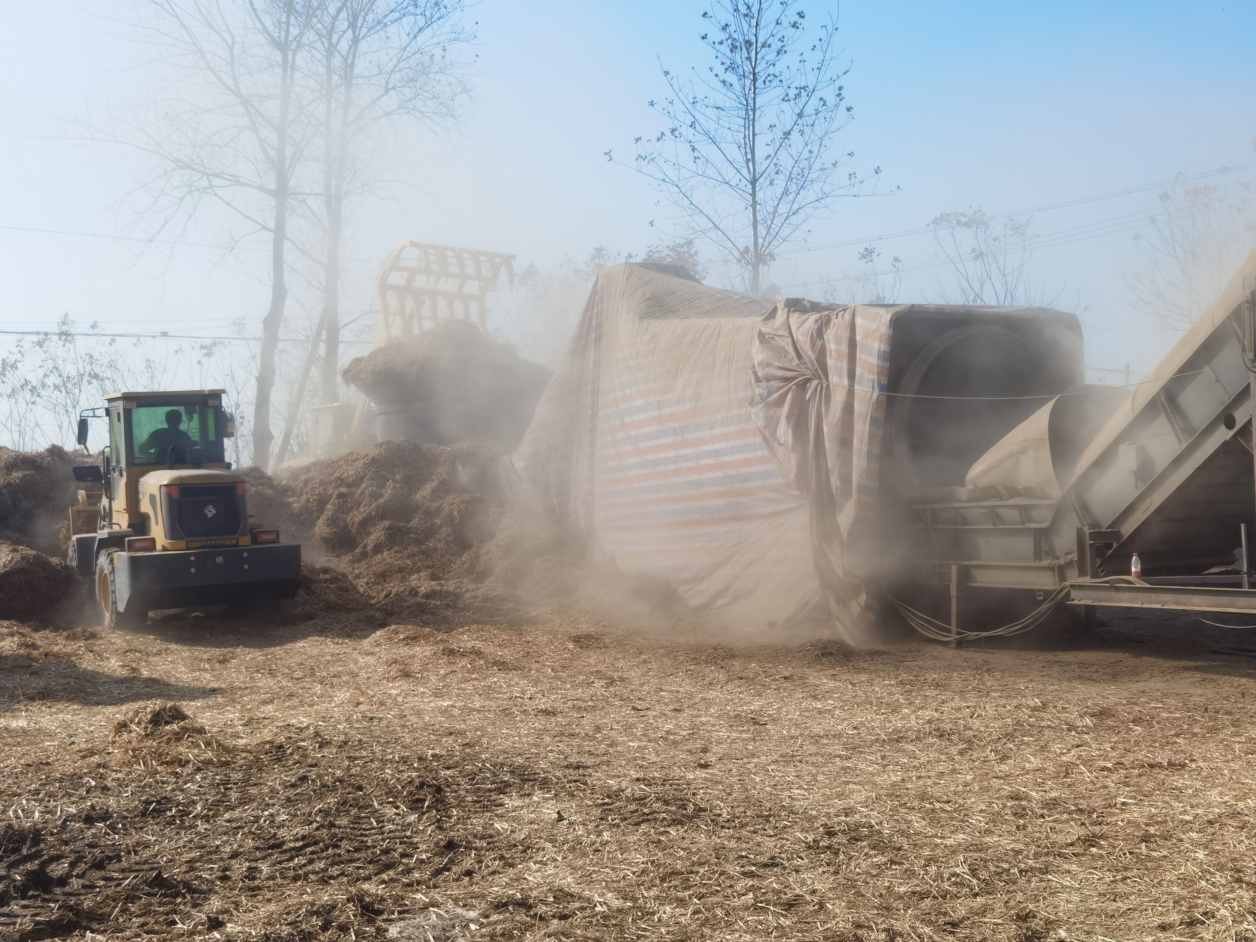 干草 柔丝小麦秸秆。大白包400公斤左右。需要联系。