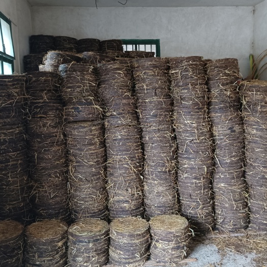 和平县大量茶枯饼批发