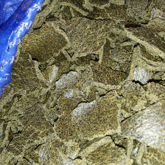 衡阳县菜籽饼饲料 大量菜枯，菜籽饼（青）
妖叭叭漆叁④叁叭叁叭④