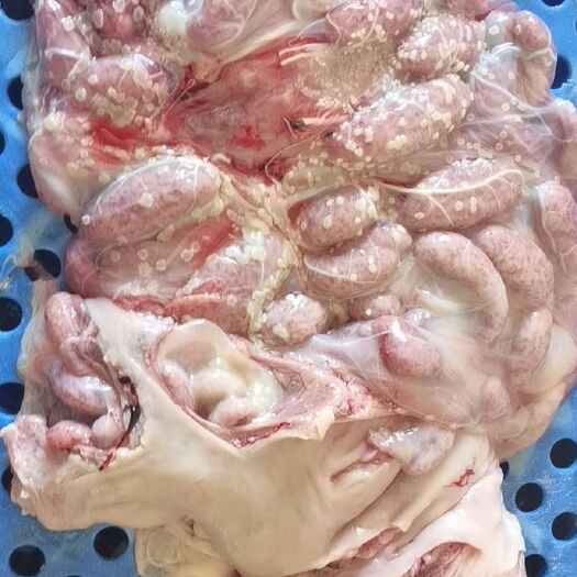 汕头牛杂！牛胎盘