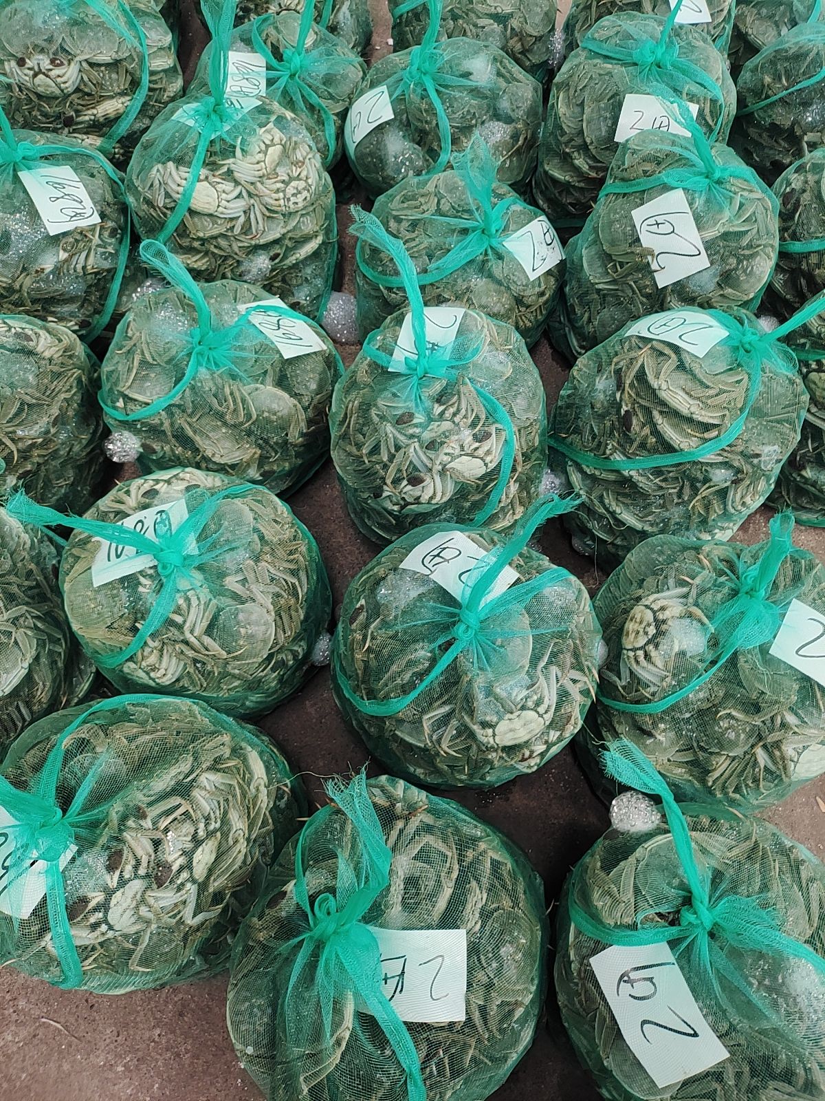 湖北汈汊清水大精品大闸蟹规格足质量好青壳白底一手货源