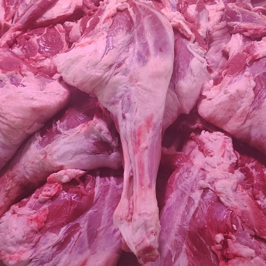 唐山羊肉类  不注水的羔羊肉
