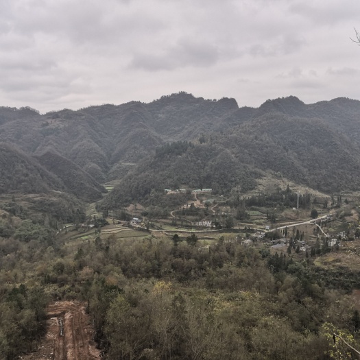福泉市荒地  荒山出租