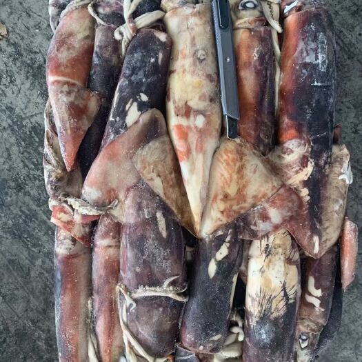 荣成市秘鲁鱿鱼
