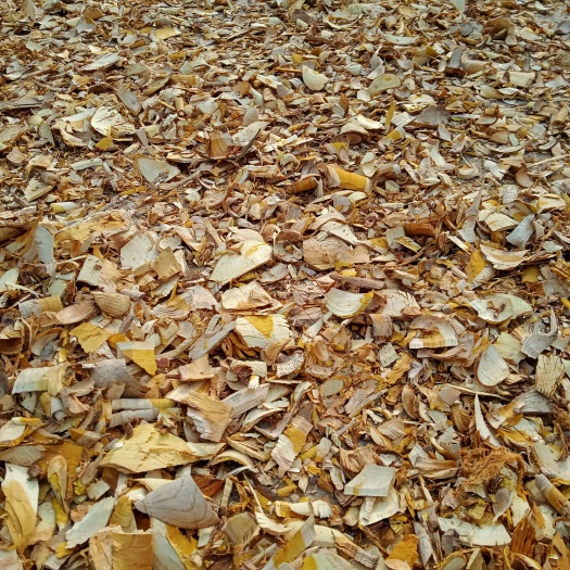 玉林穿破石 切片