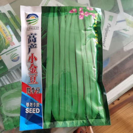 通海县四季豆种子  高产小金豆种子  紫花四季豆