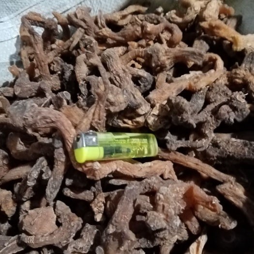 亳州 黄精