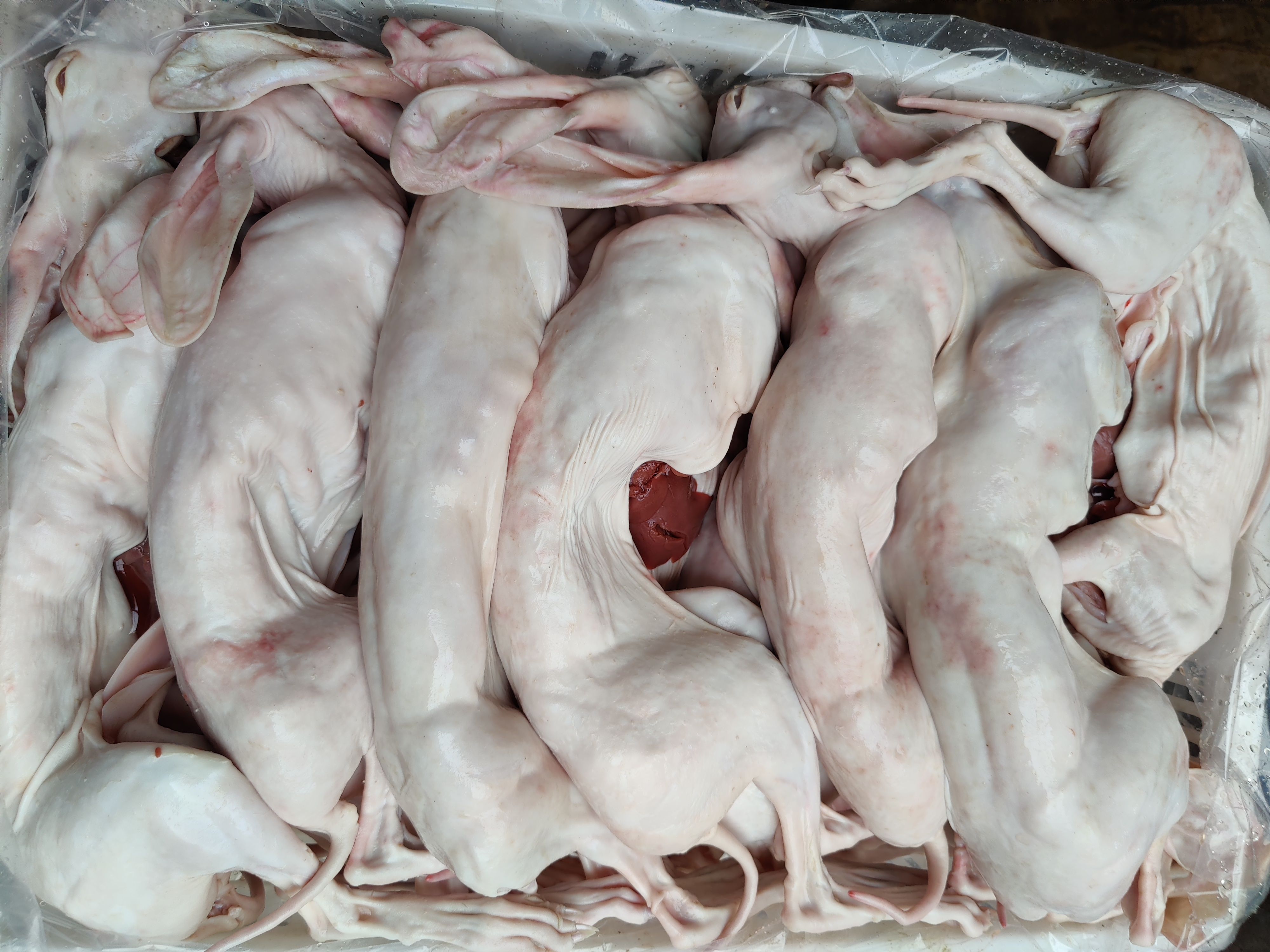 兔肉类 带皮兔肉烫皮兔肉（带心肝和去心肝）活兔兔头心肝肾里脊