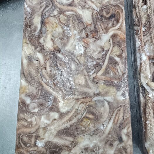 荣成市鱿鱼 鱿鱼头
 