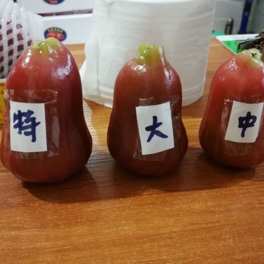 海口 海南黑金刚莲雾，一级果，大果，特大果，可发一线城市商超
