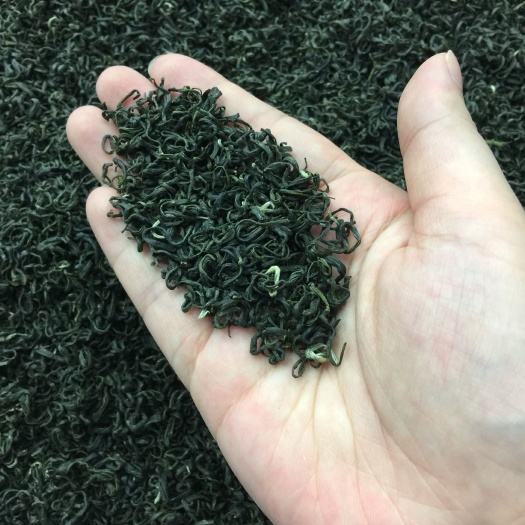 庐山市狗牯脑茶  今年新茶狗牯脑江西绿茶碧螺春高山云雾茶炒青浓香型