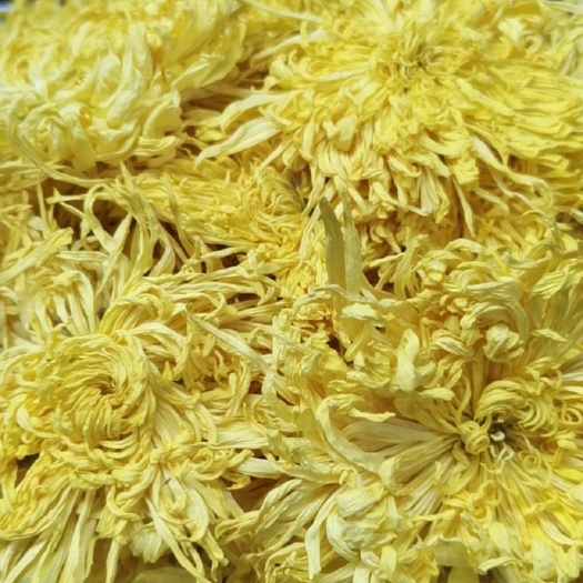 安国市菊花茶 各种 花草茶 茶叶 茶品茶具