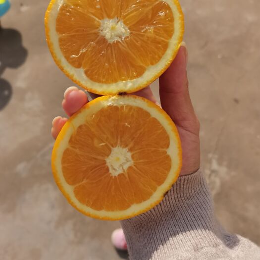 信丰县 信丰脐橙