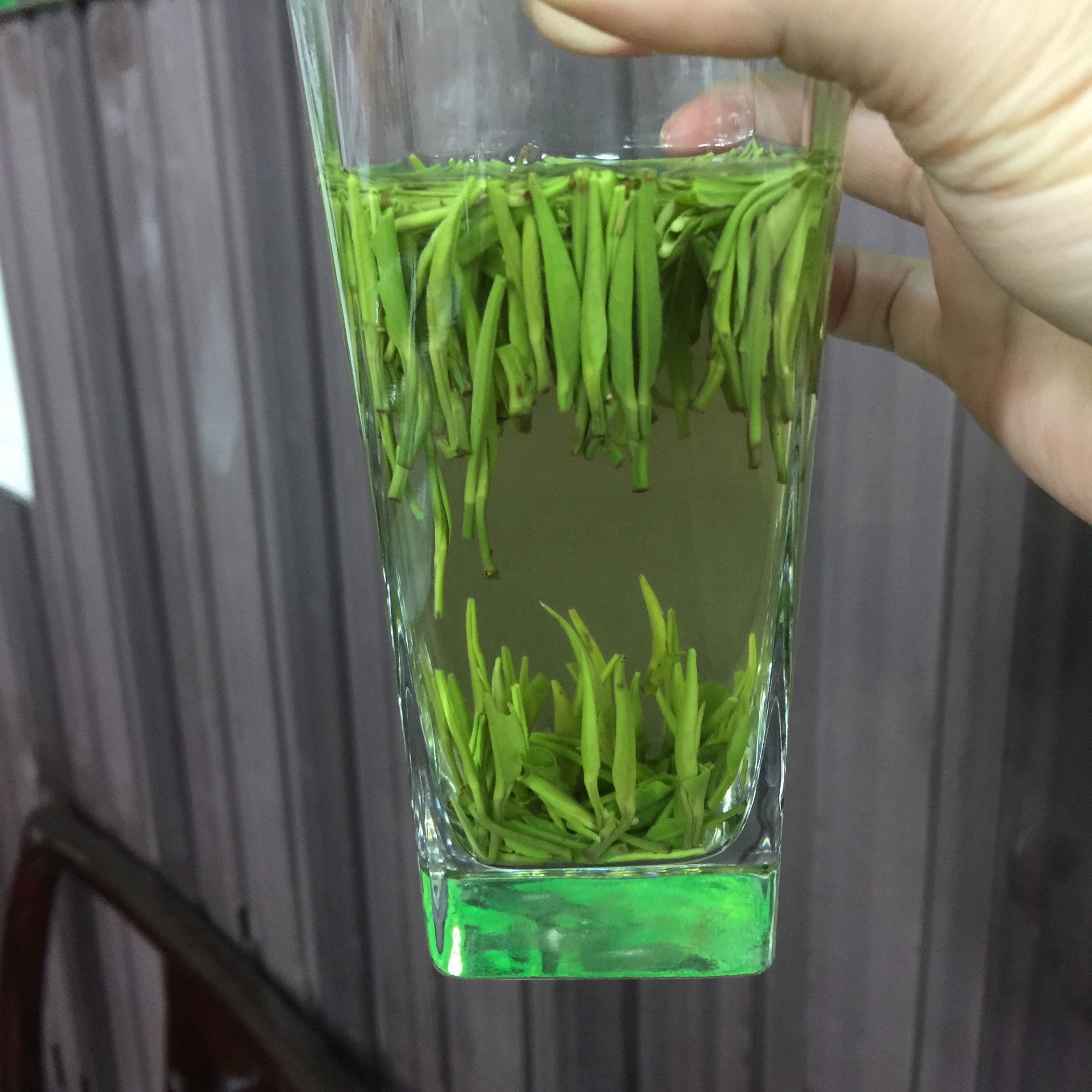 雀舌茶  今年新茶 明前雀舌绿茶 500g包邮 茶农直销