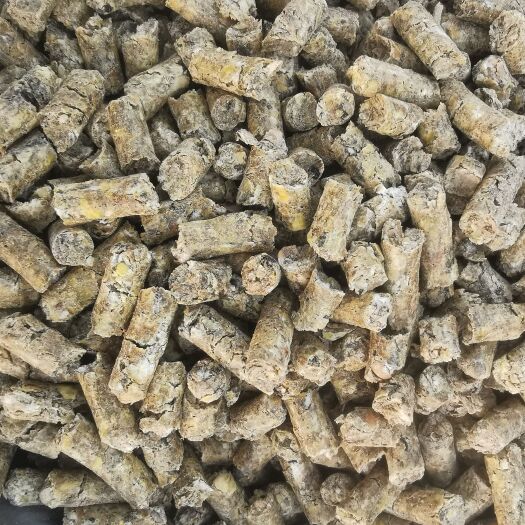 唐县豆粕饲料  全脂大豆膨化颗粒