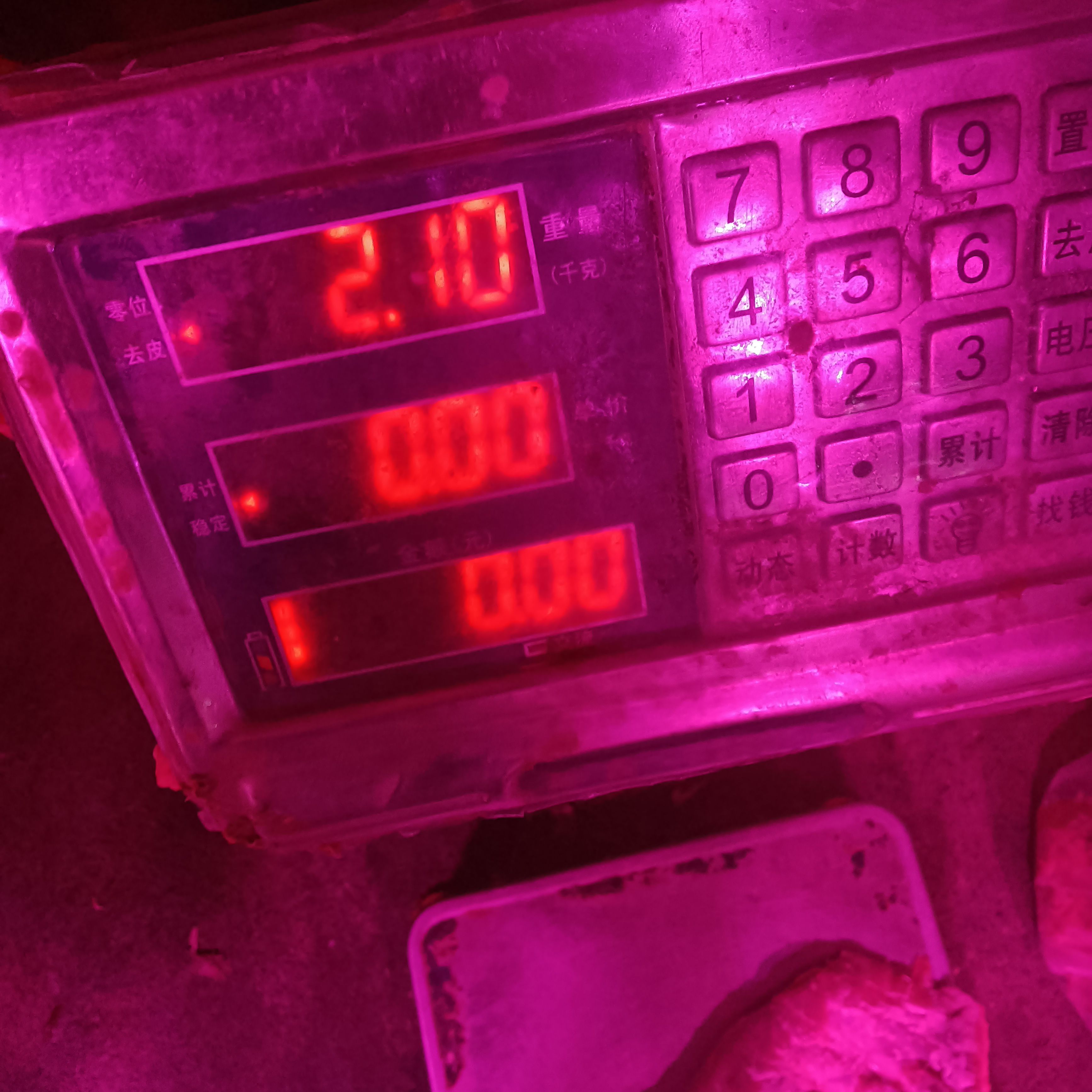 猪排骨  精品去肋骨精仔排/排骨