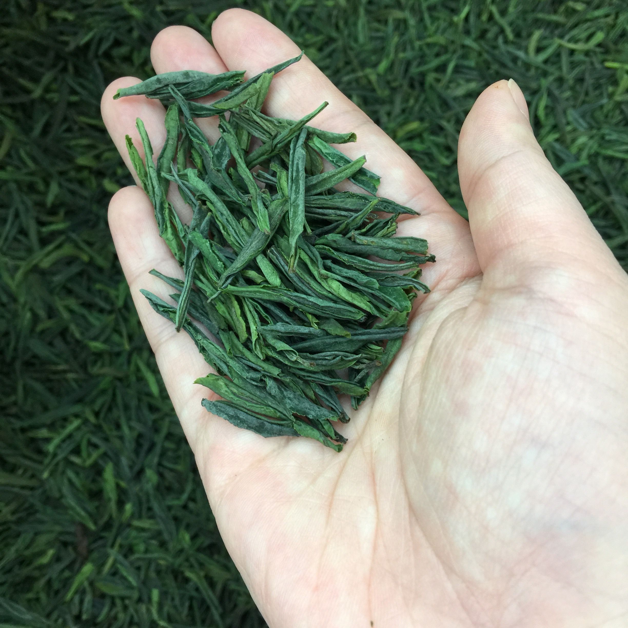 六安瓜片新茶 今年明前绿茶优质 包邮