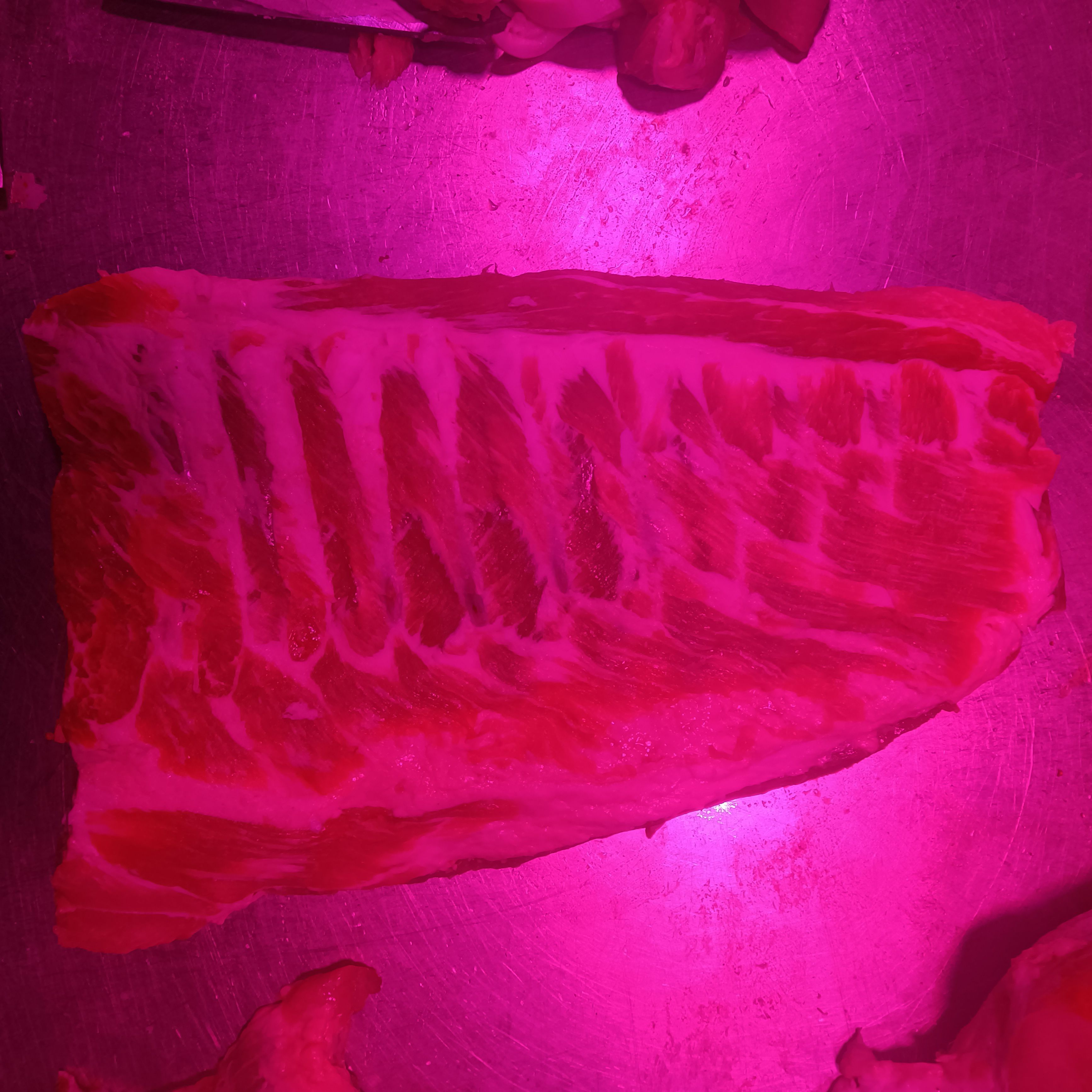 猪排骨  精品去肋骨精仔排/排骨