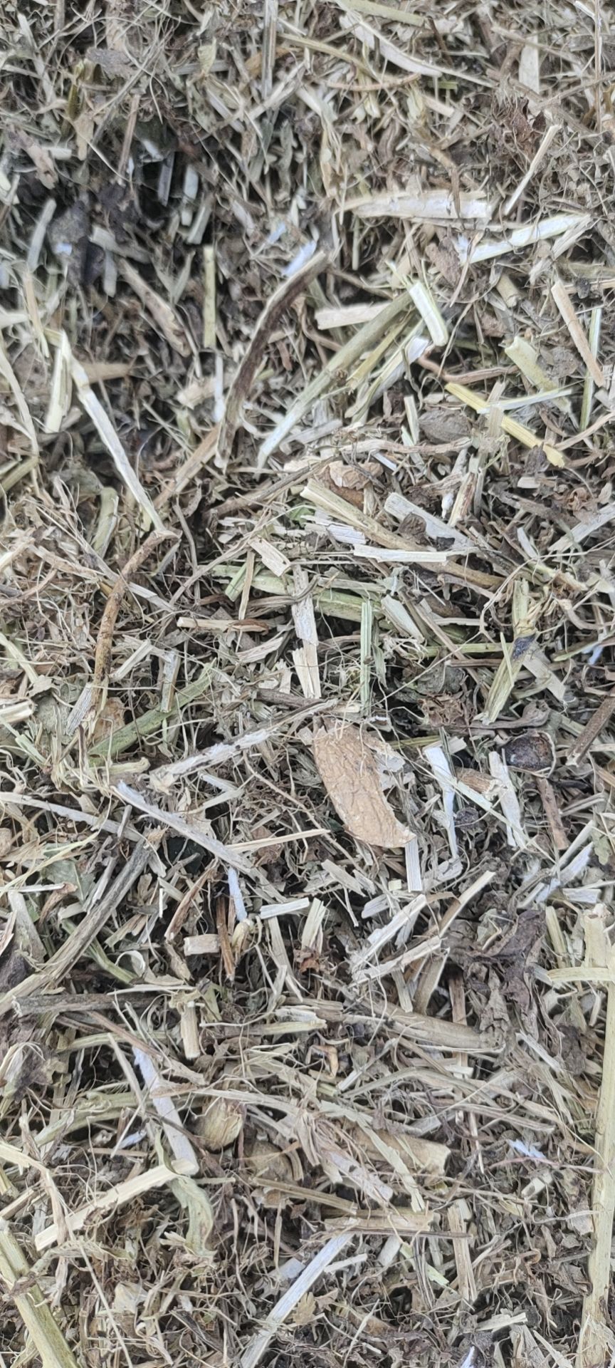 花生秧 牛羊草