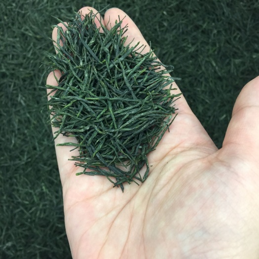 恩施市玉露茶 今年新茶 恩施玉露 富硒茶 明前绿茶500g包邮