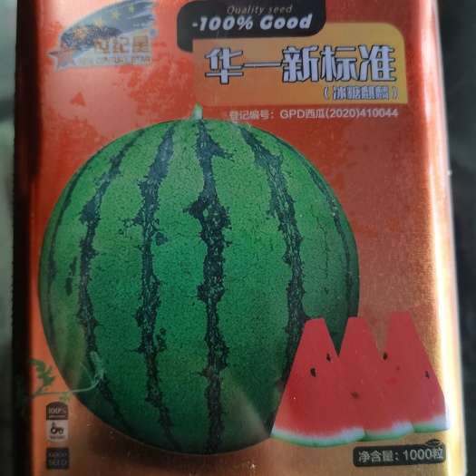 西瓜种子  华一新标准美都类型冰糖麒麟高品质高甜度抗病性强超