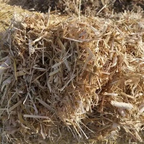 产地批发玉米秸秆饲料 柔丝草料 除尘好草块 牛羊马驴饲料草