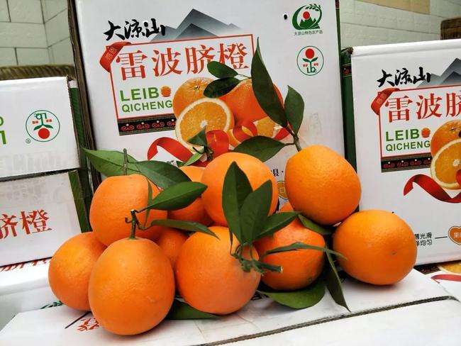 雷波县 大凉山雷波脐橙-现摘现发-